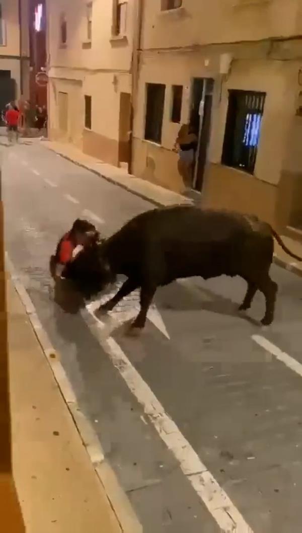 Bull attacking young man