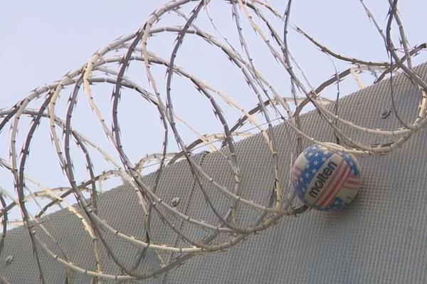 Ball in barbed wire