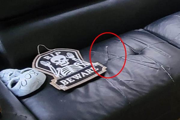 A nail circled in the couch cushion next to a sign with skeleton which includes the words RIP and beware